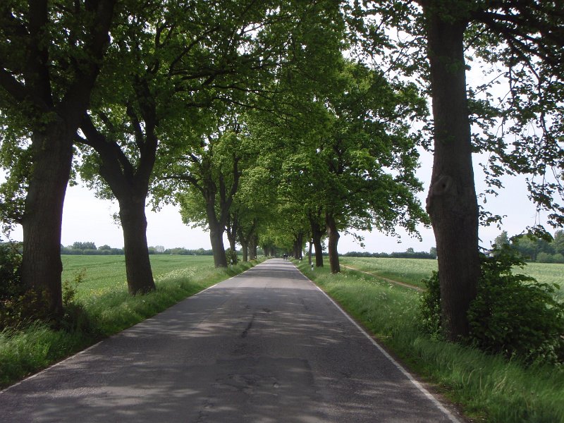 Bad Schwartau 185